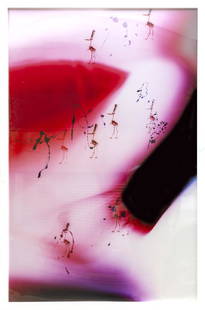 Carter Mull, Stars, Lightjet type C-Print Photograph on: Artist: Carter Mull, American (1977 - ) Title: Stars Year: 2011 Medium: Lightjet type C-Print on Metallic paper Edition: 1/5 Size: 65 x 42 in. (165.1 x 106.68 cm) Frame Size: 66 x 43 inches
