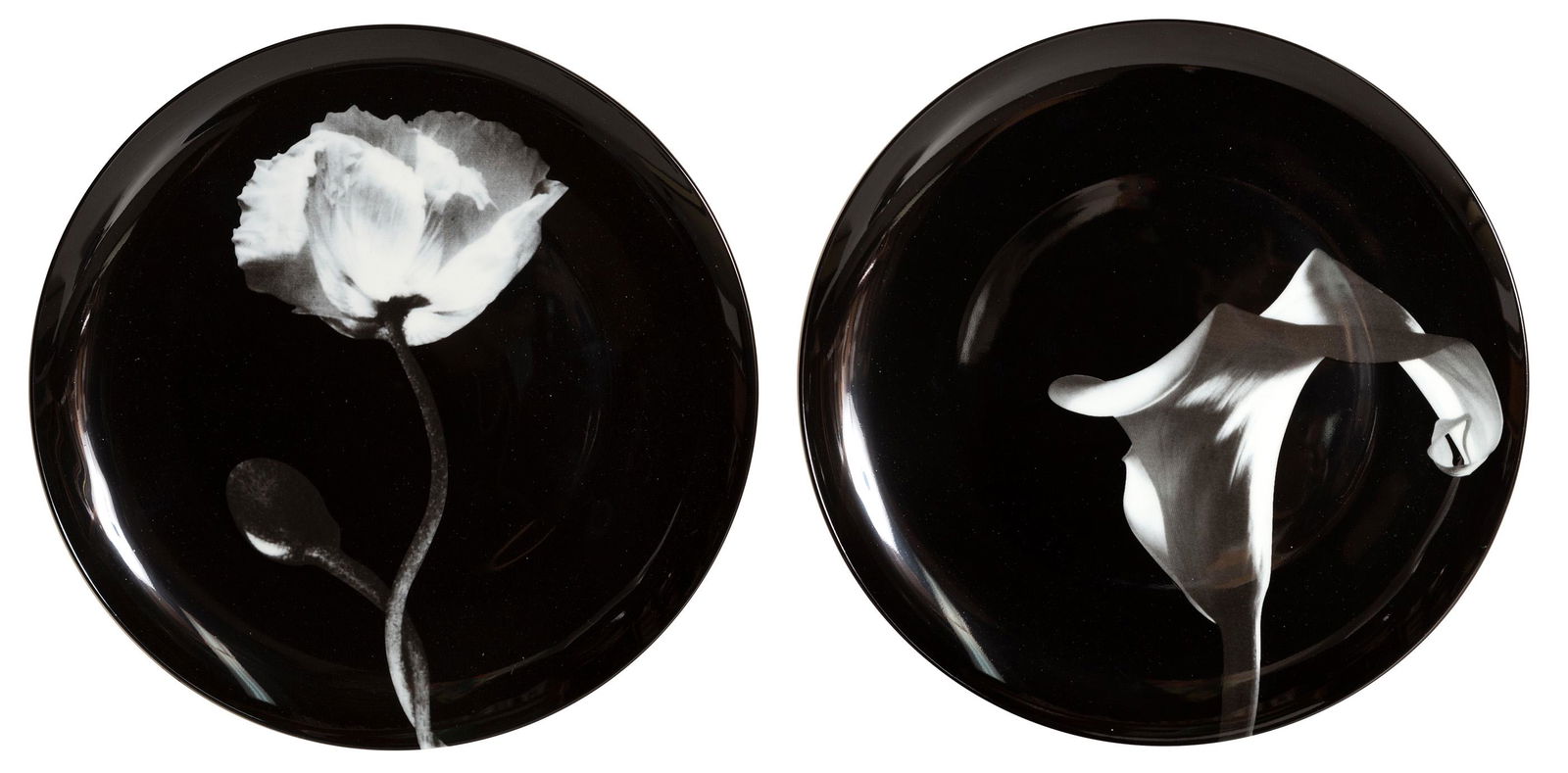 Robert Mapplethorpe, Poppy and Calla Lily Plate, Pair: Artist: Robert Mapplethorpe, American (1946 - 1989) Title: Poppy and Calla Lily Plate Year: 2000 Medium: Pair of Porcelain Plates in Original Box Edition: 500 Size: 8.25 x 8.25 in. (20.96 x 20.96 cm)