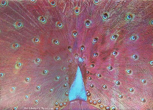 Colin Self, Power and Beauty, Peacock Serigraph: Artist: Colin Self Title: Power and Beauty No