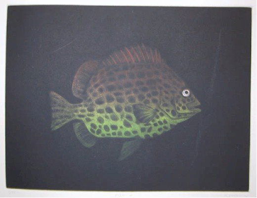 Tomoe Yokoi, Fish B, Mezzotint: Artist: Tomoe Yokoi, Japanese (1942 - ) Title: