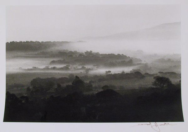 David Hamilton, Landscape, Photograph: Artist: David Hamilton Title: untitled 3 Y