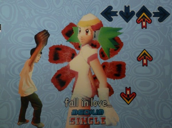 Andrea Bowers, Fall in Love, Silkscreen: Artist: Andrea Bowers, American (1965 - ) Title: Fall in Love, Dance Dance Revolution Year: circa 2004 Medium: Silkscreen, Signed and numbered in pencil Edition: 25 Size: 28.75 in. x 38.75 in. (73.03