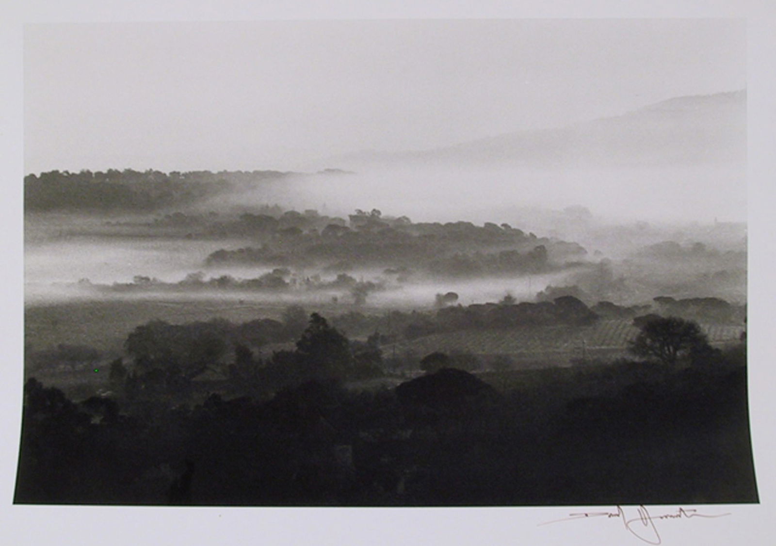David Hamilton, Vineyards, Gelatin Silver Print: Artist: David Hamilton, American (1933 - 2016) Title: Vineyards Portfolio: Year: circa 1992 Medium: Gelatin Silver Print Photograph, signed in ink l.r. Edition: Image Size: Size: 12.5 x 16 in. (31.75