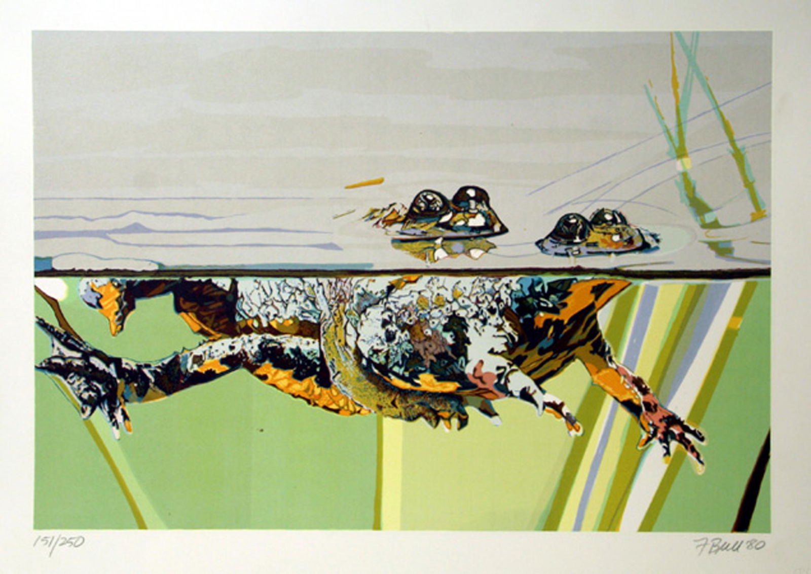 Fran Bull, Frogs, Screenprint on Somerset (1 of 1)