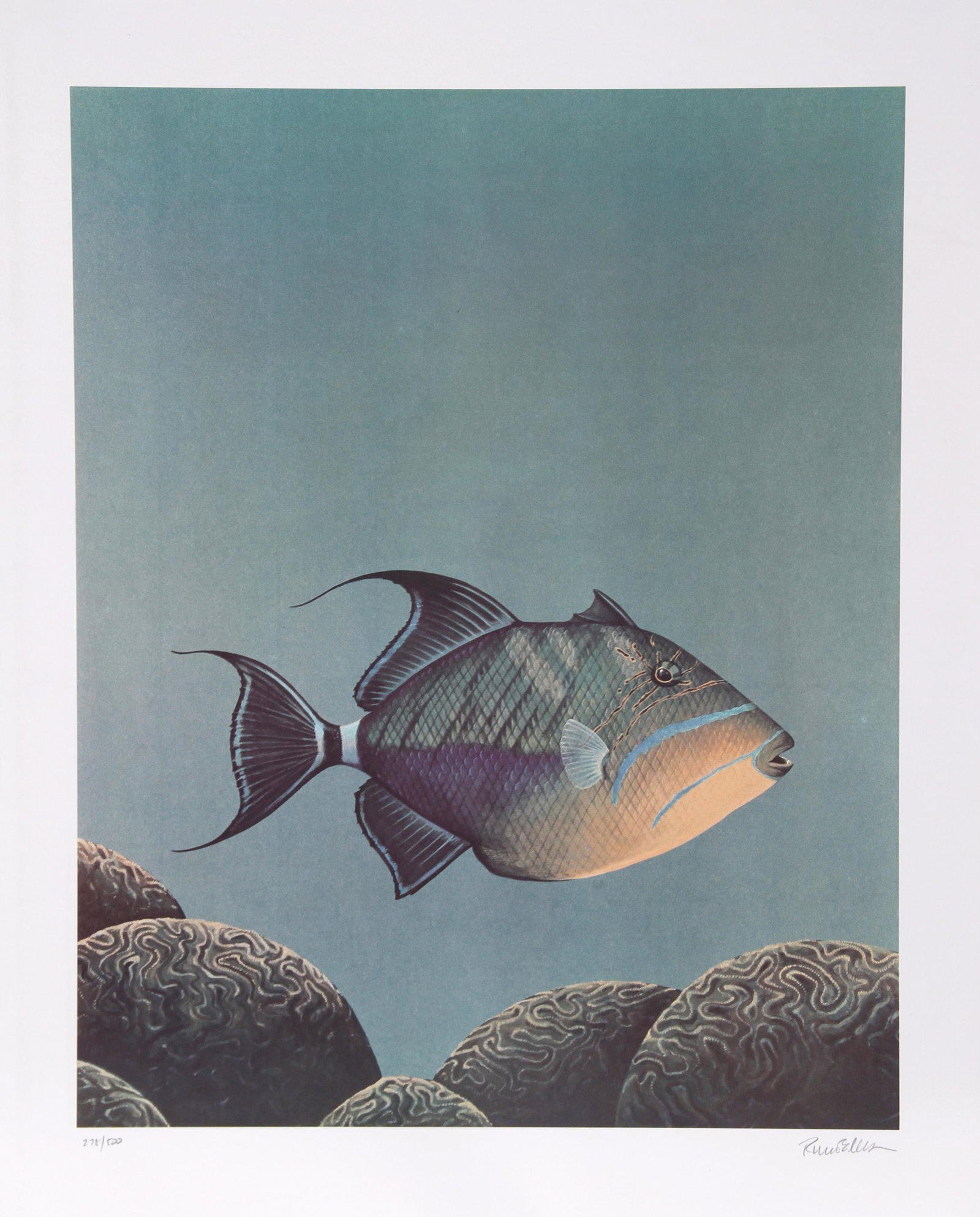 Richard Ellis, Trigger Fish, Lithograph (1 of 2)