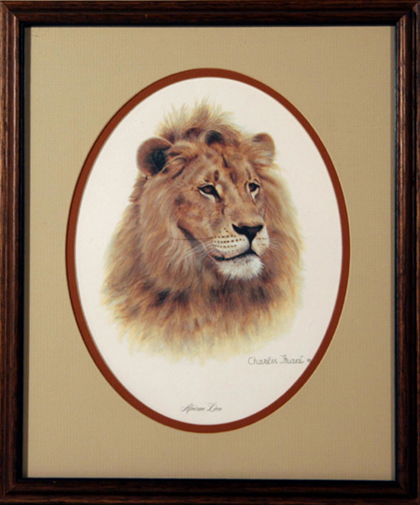 Charles Frace, African Lion, Lithograph (1 of 1)