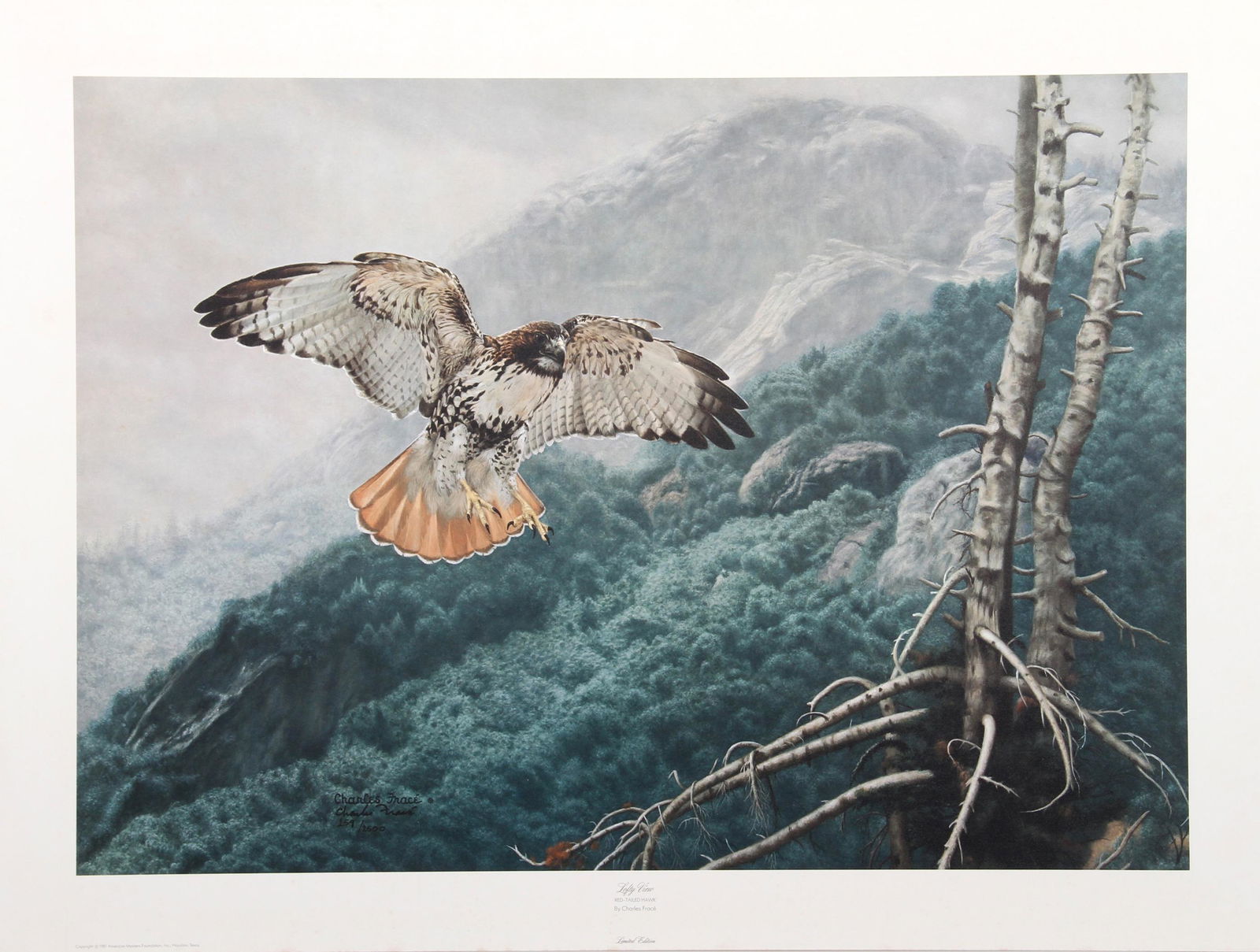 Charles Frace, Lofty View, Lithograph (1 of 1)