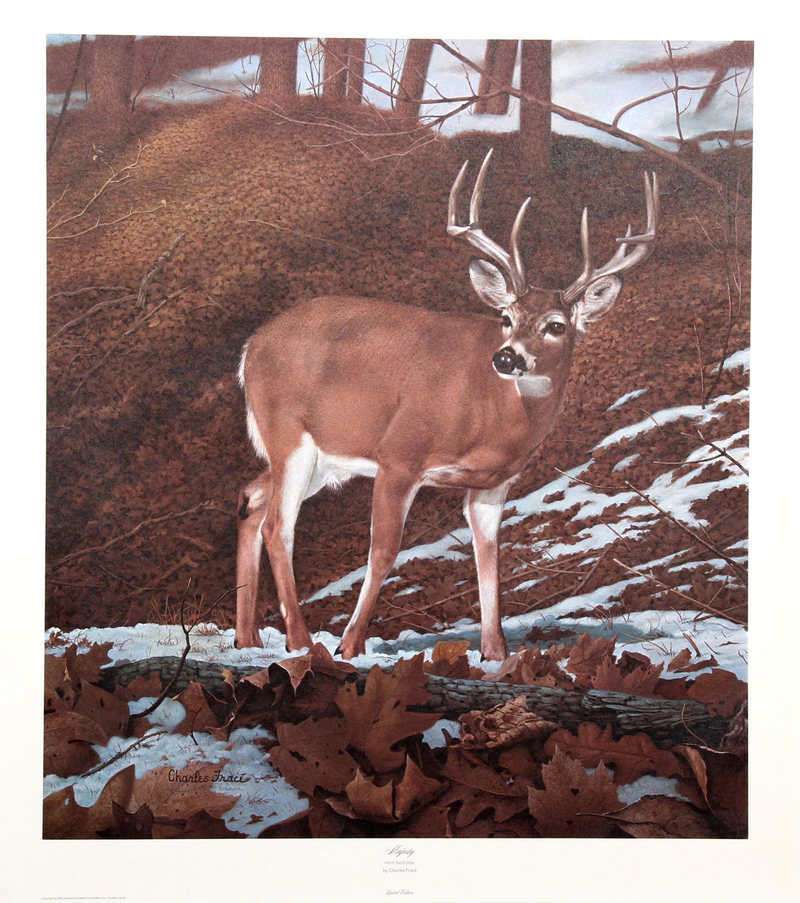 Charles Frace, Majesty, Lithograph (1 of 2)
