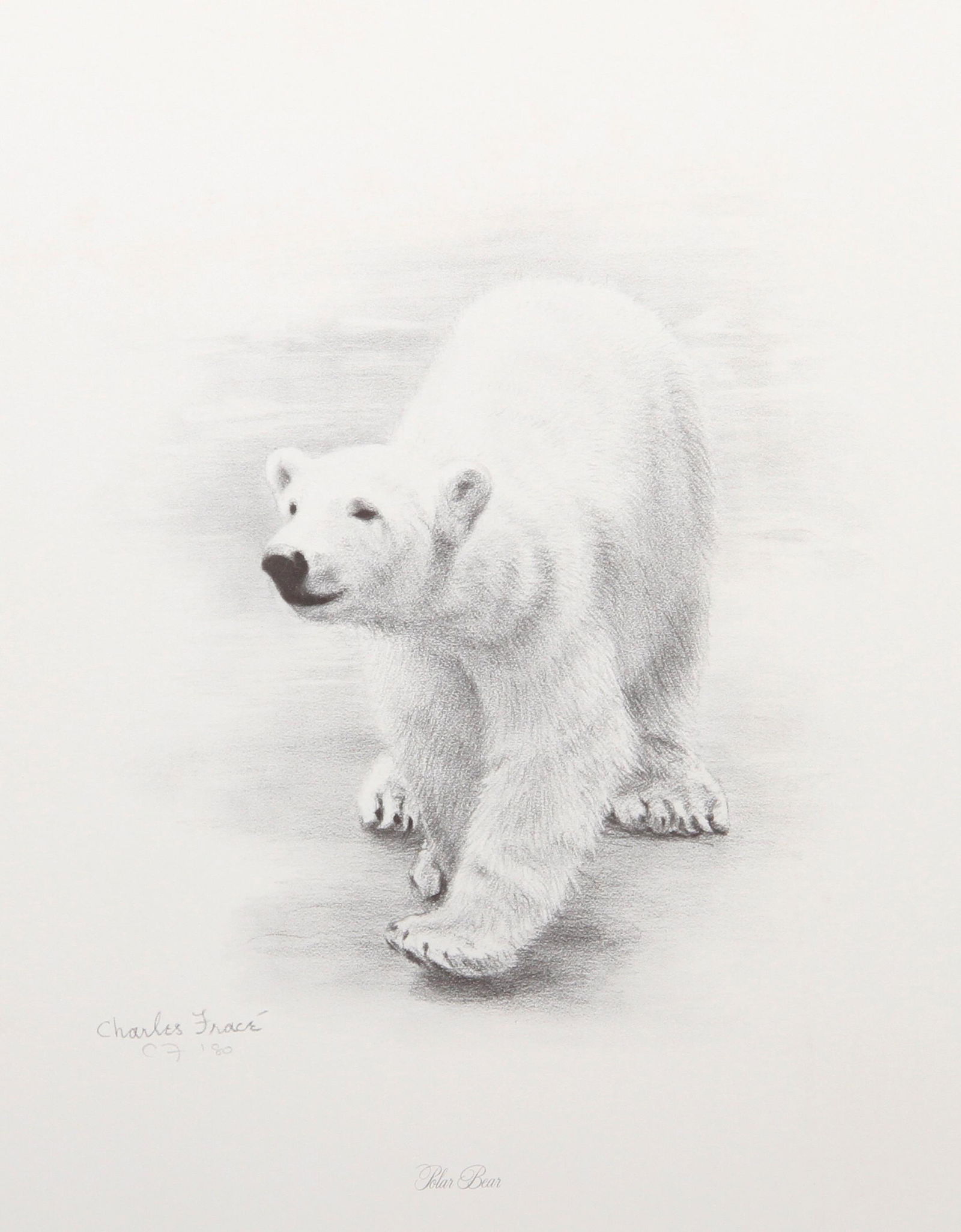 Charles Frace, Polar Bear, Lithograph (1 of 1)