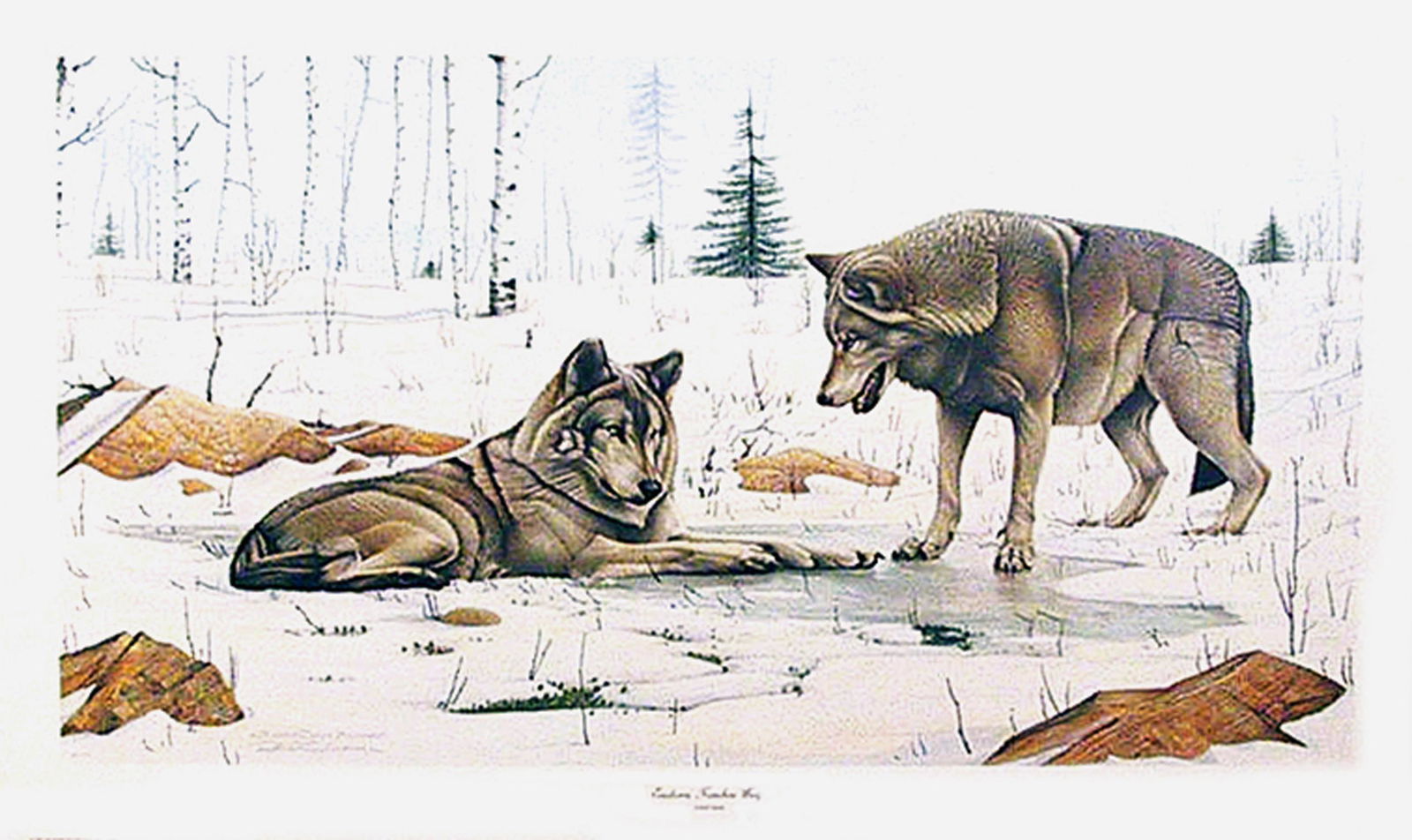 Richard Evans Younger, Eastern Timber Wolves, Offset (1 of 1)