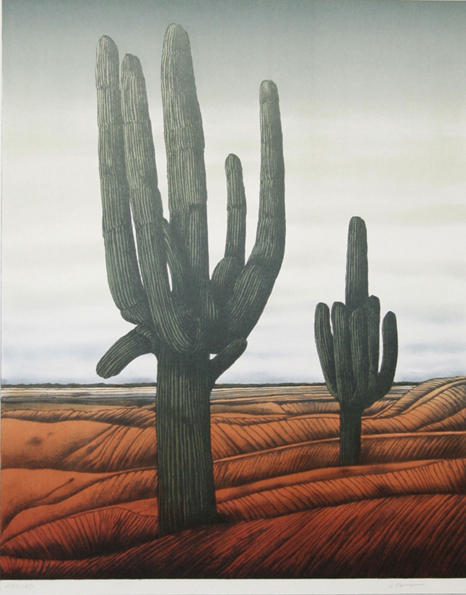 Alain Le Foll, Cacti, Lithograph (1 of 1)