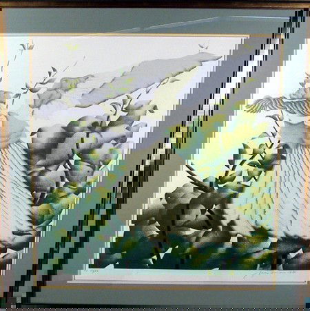 Jack Brusca, Bird, Lithograph: Artist: Jack Brusca, American (1939 - 1993) Title: Bird Year: 1978 Medium: Lithograph Edition: 23/30A/P Size: 25 in. x 24 in. (63.5 cm x 60.96 cm) Frame Size: 32 x 31 inches