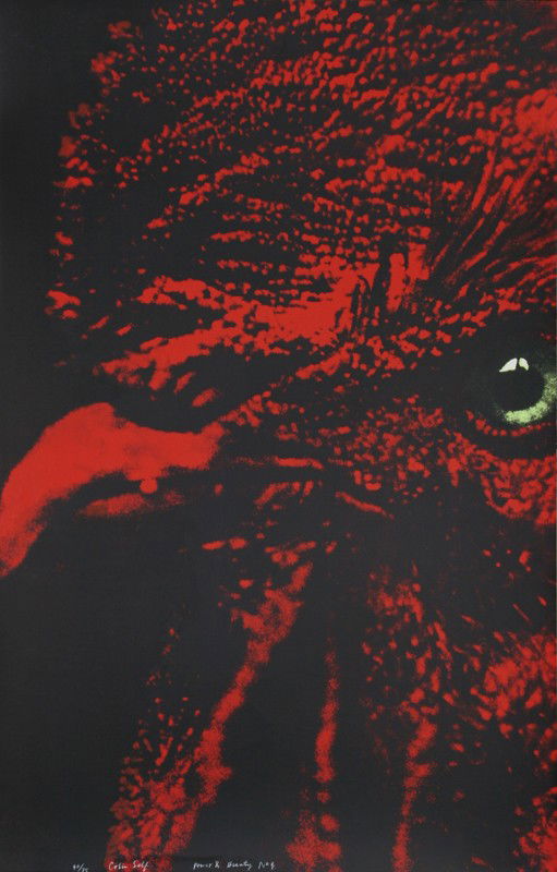 Colin Self, Power and Beauty No. 4, Serigraph: Artist: Colin Self, British (1941 - ) Title: Power and Beauty No. 4 Year: 1969 Medium: Serigraph, signed, numbered and titled in ink Edition: 75 Size: 41 in. x 26 in. (104.14 cm x 66.04 cm)