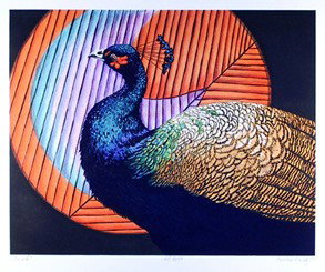 Caroline Schultz, Peacock, Lithograph: Artist: Caroline Schultz Title: Peacock Year: 1980 Medium: Lithograph, signed and numbered in pencil Edition: 50 Size: 23 in. x 29 in. (58.42 cm x 73.66 cm)