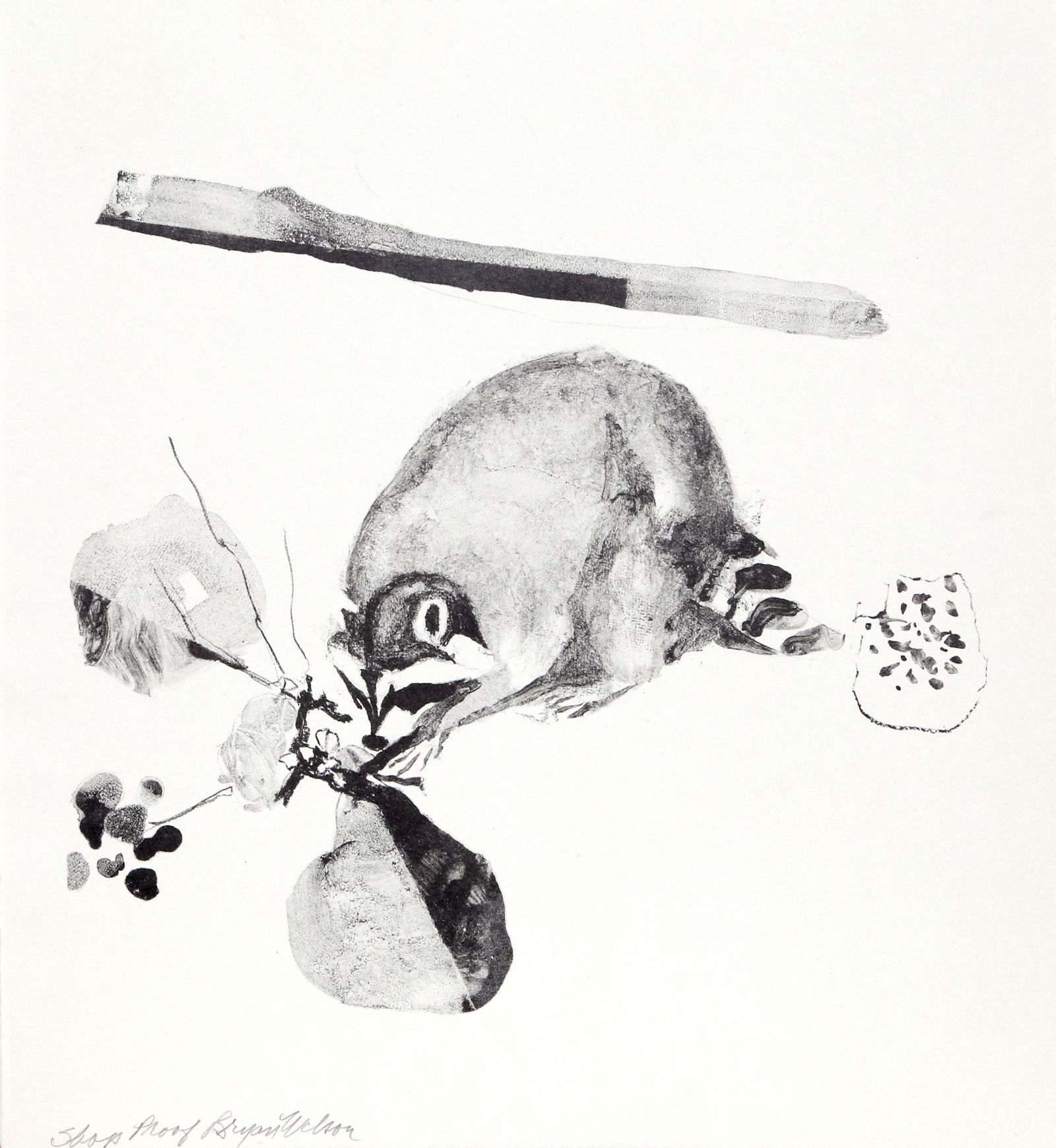 Bryan Wilson, Raccoon, Lithograph: Artist: Bryan Wilson, American (1927 - 2002) Title: Raccoon Portfolio: Year: Circa 1980 Medium: Lithograph, signed in pencil Edition: Shop Proof Image Size: Size: 16.5 x 18 in. (41.91 x 45.72 cm)