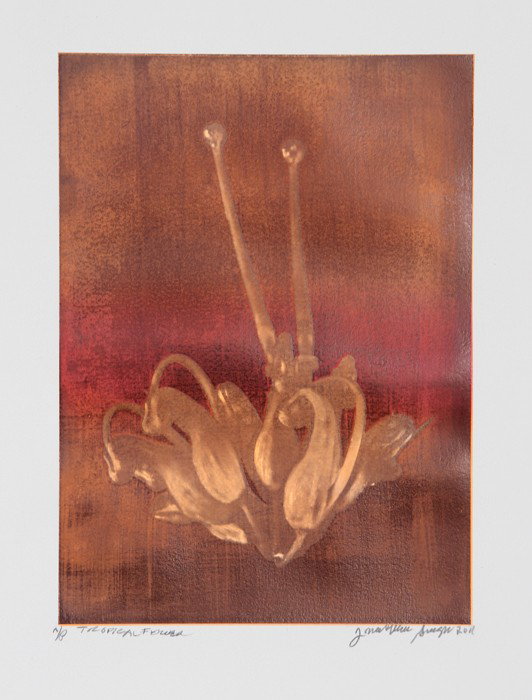Jonathan Singer, Tropical Flower 2, Digital Photog: Artist: Jonathan Singer, American Title: Tropical Flower 2 Year: 2011 Medium: Digital Photograph on Hahnemuhle Paper Edition: AP Image Size: 14 x 10 inches Size: 30.5 in. x 24 in. (77.47 cm x 60.96 cm