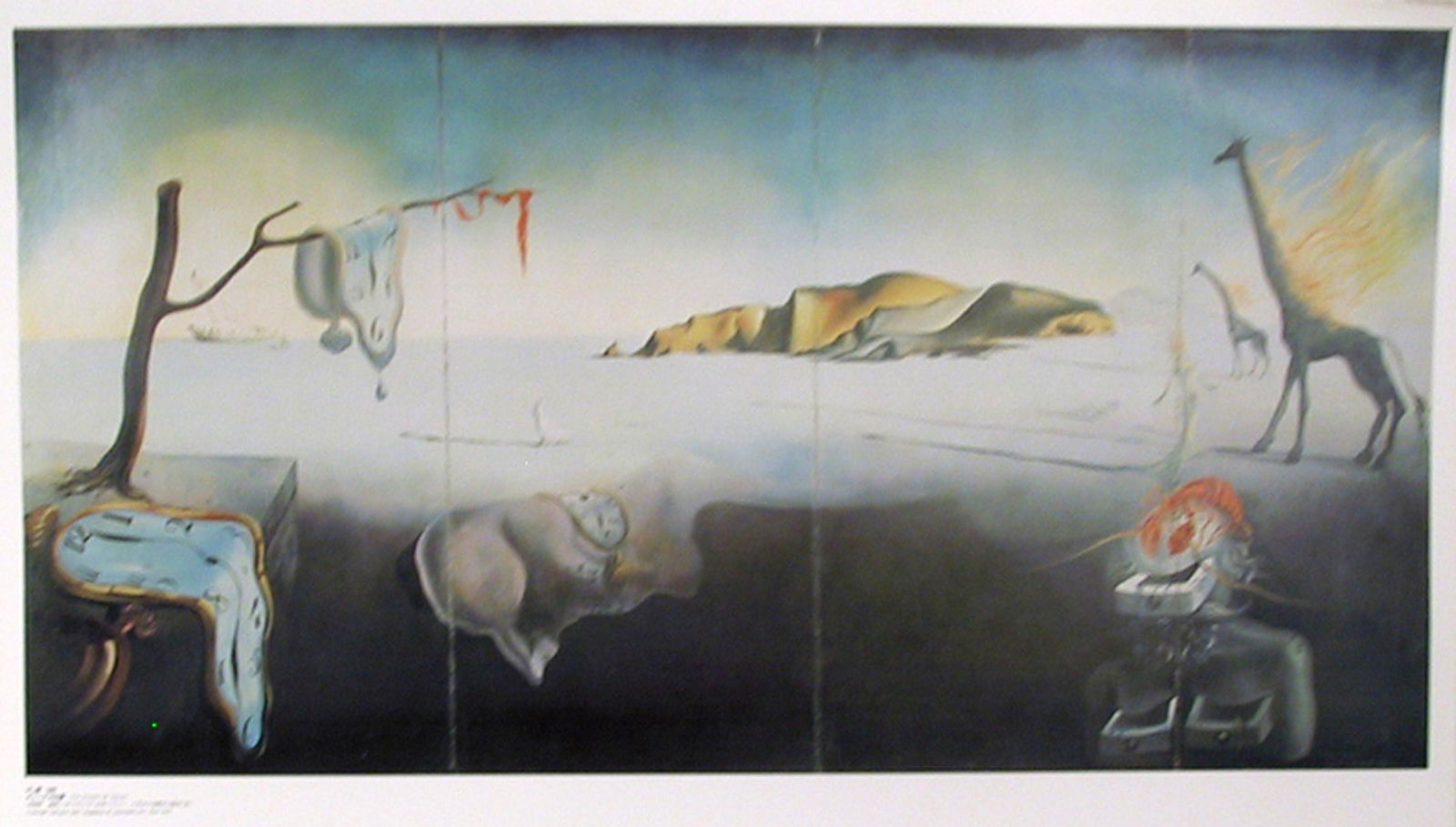 Salvador Dali, Dream of Venus, Poster (1 of 1)