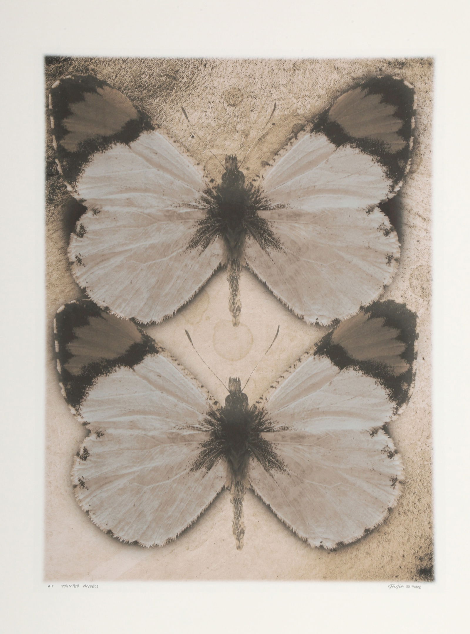 Michael Knigin, Tainted Angels, Archival Pigment Print: Artist: Michael Knigin, American (1942 - 2011) Title: Tainted Angels Year: 2006 Medium: Archival Pigment Print, signed, numbered, dated, and titled Edition: AP Image Size: 23 x 17 inches Size: 30 x 22