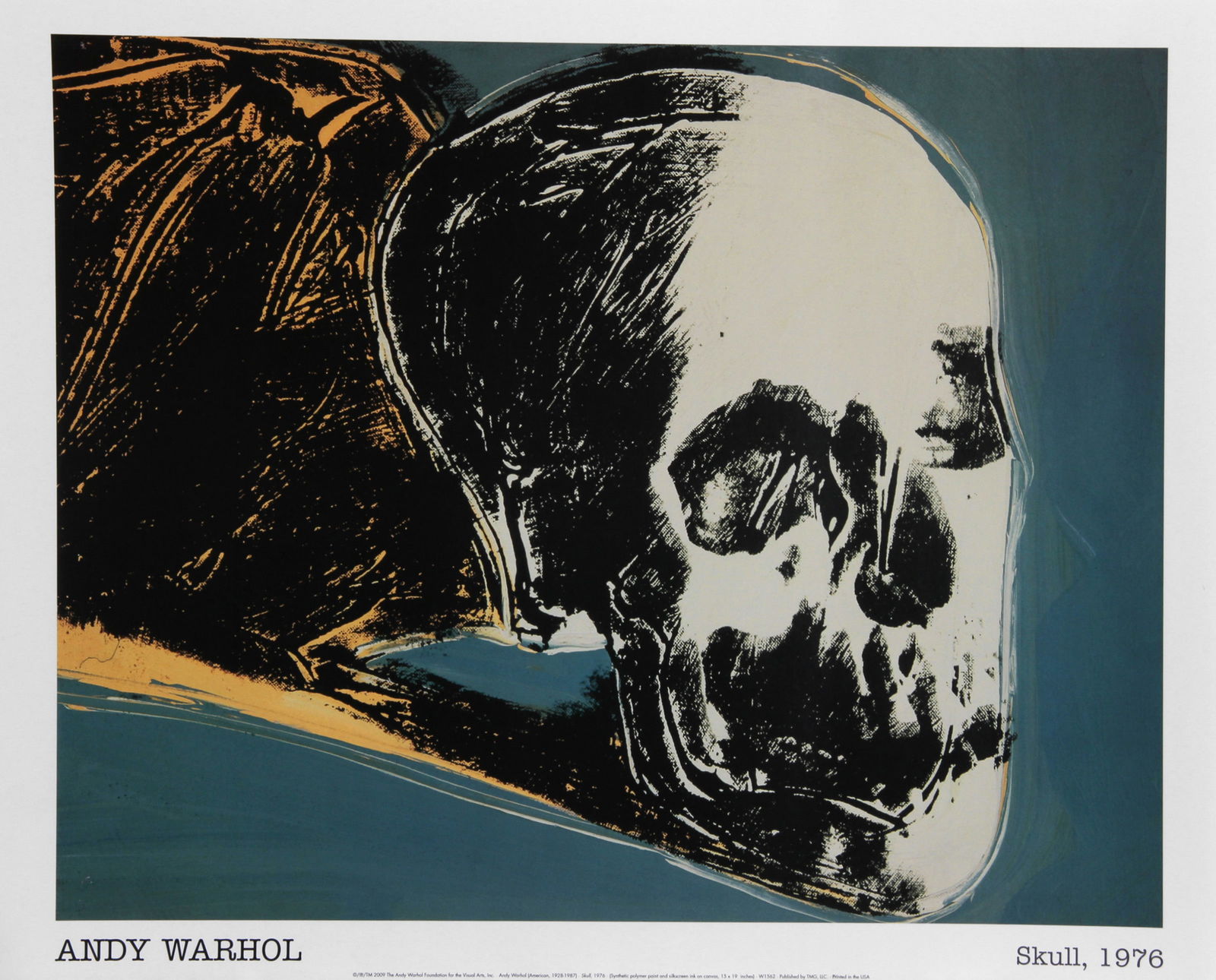 Andy Warhol, Skull, Poster: Artist: Andy Warhol, American (1928 - 1987) Title: Skull Year: Original: 1976 Printed: 2009 Medium: Poster Image Size: 14 x 18 inches Size: 16 in. x 20 in. (40.64 cm x 50.8 cm)