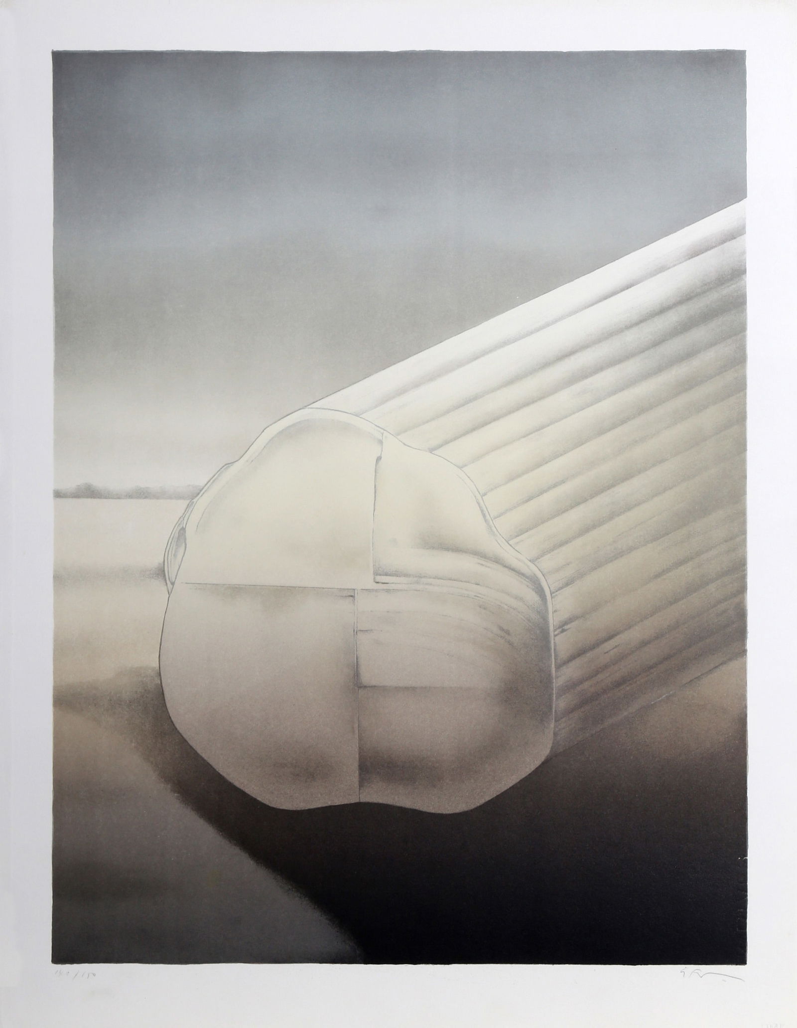 Alain Le Foll, Cactus Log I, Lithograph (1 of 4)