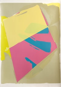 Darryl Hughto, Onion Town, Screenprint