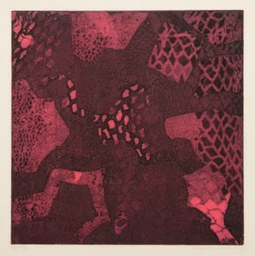 Mary Anne Watson, Net, Etching and Aquatint