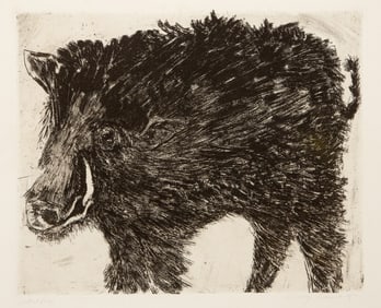Aubrey Schwartz, Hog, Etching on BFK Rives