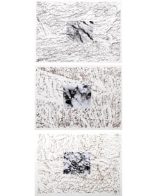 Alan Sonfist, Lot of 3 Lithographs with Photo-Collage