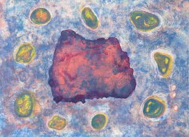 Betsy Damon, Untitled II, Lithograph