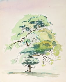 Eve Nethercott, Tree (P5.17), Watercolor on Paper