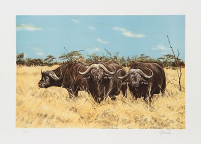 Joseph Vance, Cape Buffalo, Lithograph