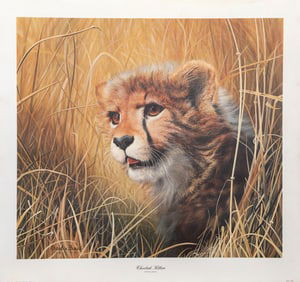 Charles Frace, Cheetah Kitten, Lithograph