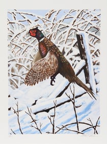 Allen Friedman, Pheasant in Flight II, Lithograph