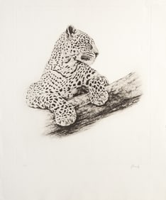 Joseph Vance, Leopard in a Tree, Etching on Arches