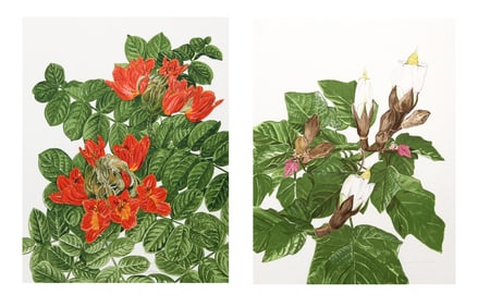 Marion Sheehan, Lot of Two Floral Lithographs