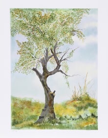 Paul Fioravanti, Cherry Tree in Norwood Glen, Lithograph