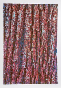 Max Epstein, Tree Bark, Screenprint