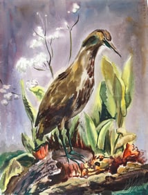 Eve Nethercott, Bird (P6.17), Watercolor on Paper