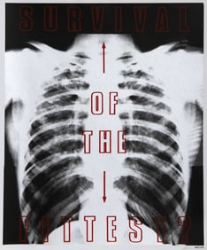 Nadia Coen, Survival of the Fittest from Bullet Space, Your House is Mine, Screenprint