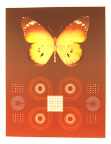 David Haidle, Butterfly Matrix, Screenprint