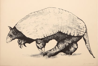 Aubrey Schwartz, Armadillo, Lithograph on Arches