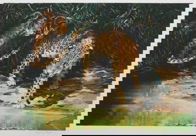 Sydney Taylor, Leopards out of Shadows, Lithograph on Somerset