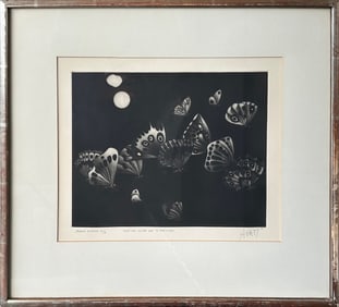 Mario Avati, Maniere Noire Aux 13 Papillons, Mezzotint