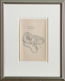 Michelle Rollman, The Snake Pit, Graphite on printed paper