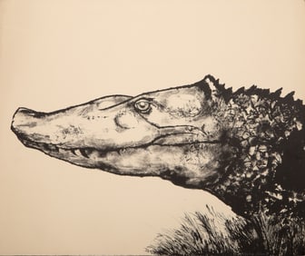 Aubrey Schwartz, Alligator, Lithograph on Arches