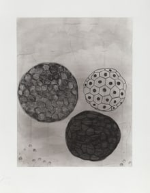 Terry Winters, Album 5, Etching with Aquatint