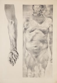 Donald DeMauro, Torso and Arm, Lithograph