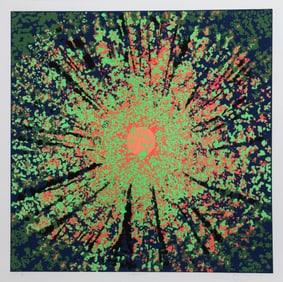 Jon D'Orazio, Radiance, Screenprint