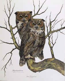 Richard Evans Younger, Great Horned Owl, Lithograph