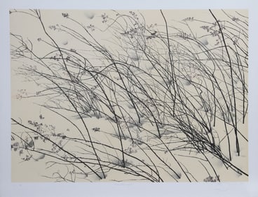 Jon D'Orazio, Windswept, Lithograph